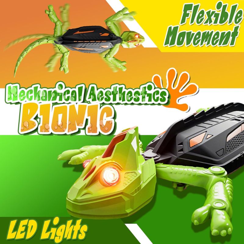 The Wall Crawler Gecko